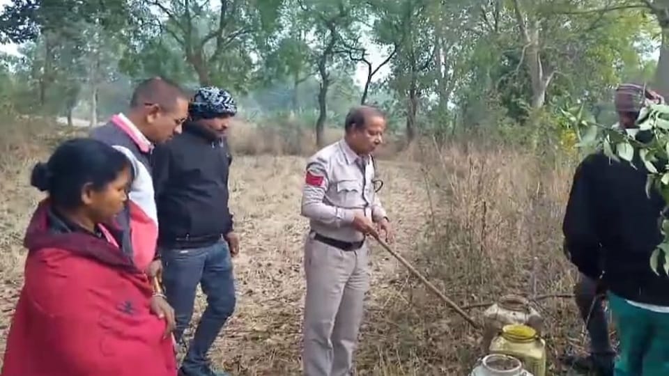 Woman built liquor warehouse in the bushes excise team also got cheated in Korba