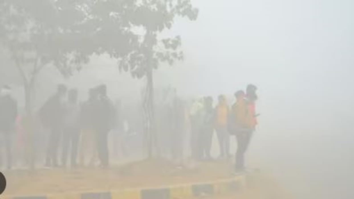 Rajasthan Weather Update: Cold day alert issued in eight districts amid severe cold, warning of dense fog