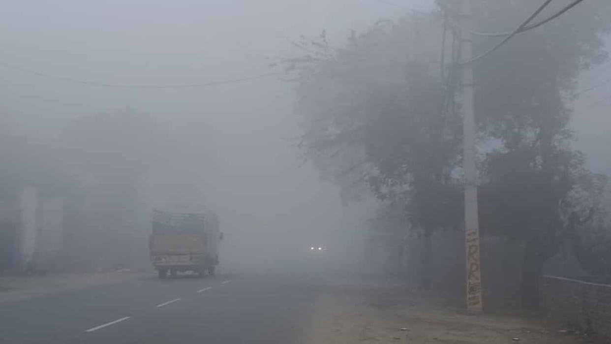Narnaul Weather Forecast Update Today: Cold increased due to wind in Narnaul