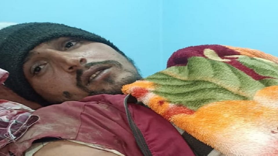 Uttarakhand News: Bear attacked bike rider in sitarganj