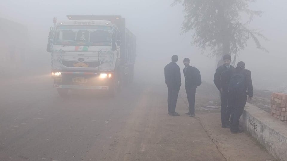 Haryana government extended holidays of classes 1st to 5th till 27th January