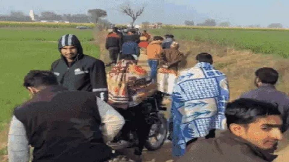 Seeing crowd of people in Rewari, tiger is not coming out of mustard field, Caught on camera twice