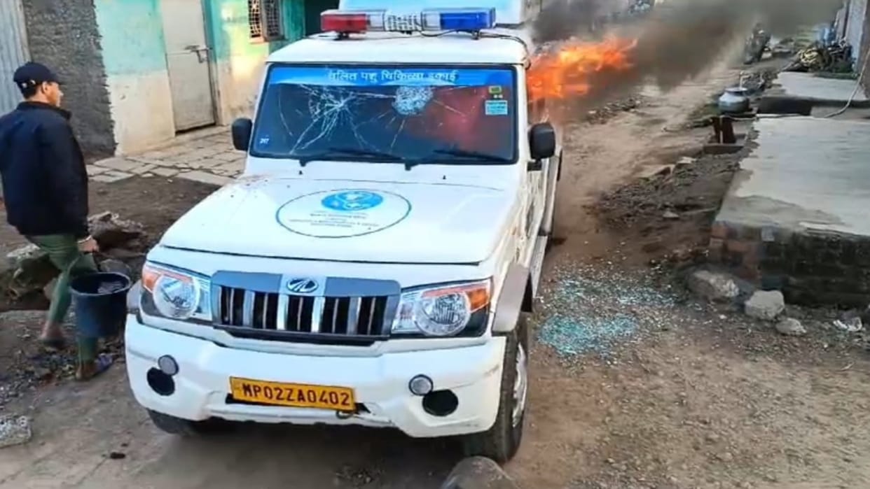 Mandsaur News Crazy young man called animal ambulance later vandalized and set it on fire