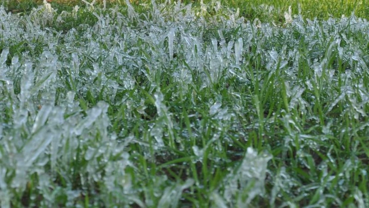 Rajasthan Weather Today: Temperature in Fatehpur at freezing point, many trains canceled due to fog