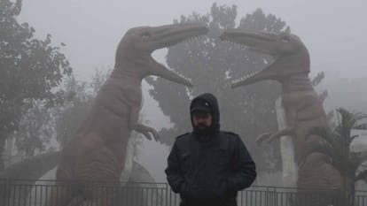 Punjab Weather Forecast Update Today: People In Punjab Will Not Get Relief From Dense Fog Right Now – Amar Ujala Hindi News Live