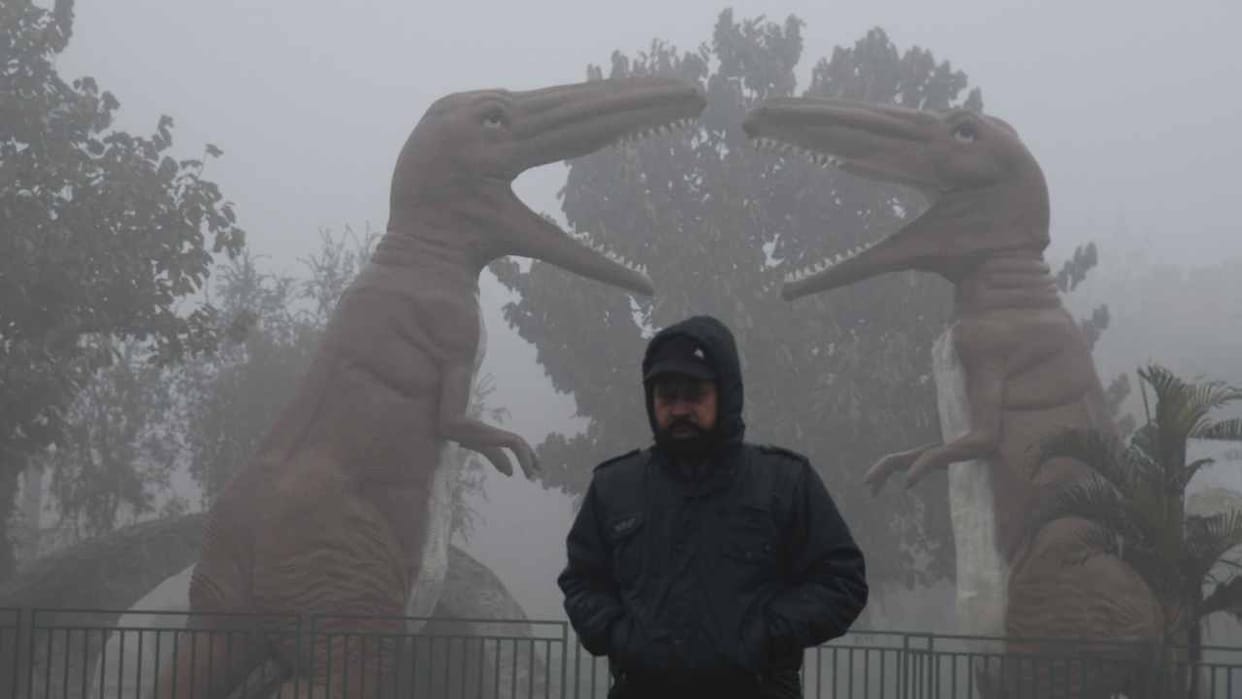 Punjab Weather Forecast Update Today: People in Punjab will not get relief from dense fog right now