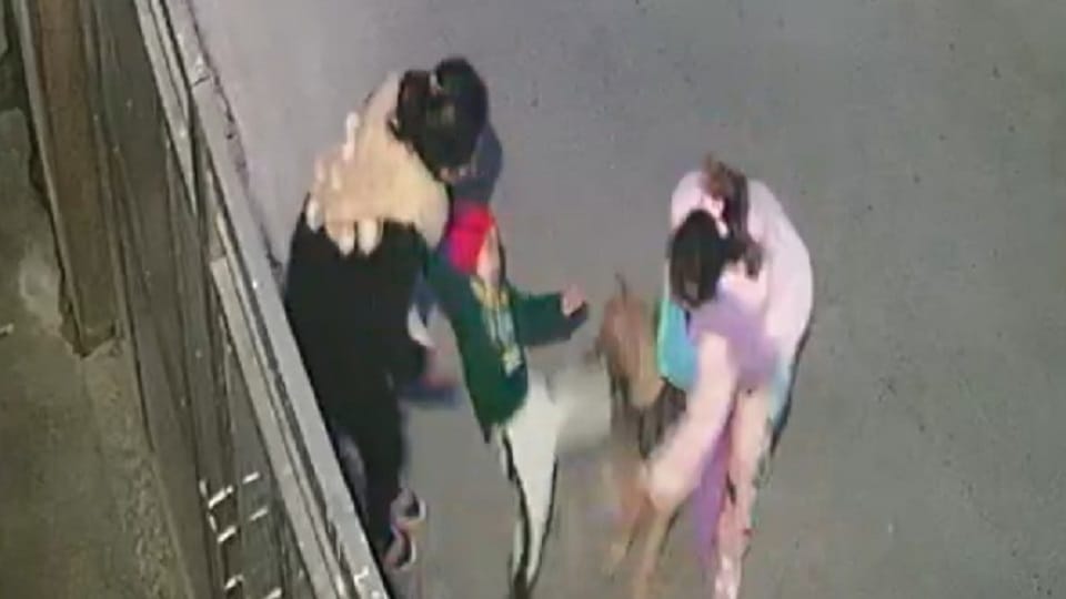 Two dogs mauled a two year old child in Shahdara Delhi