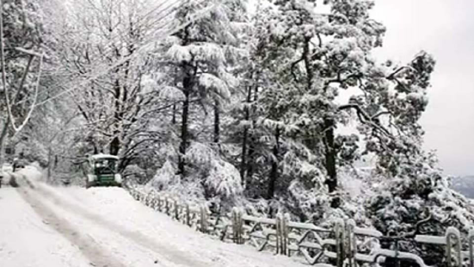 Kumaon Weather News: Cold in in Kumaon uttarakhand