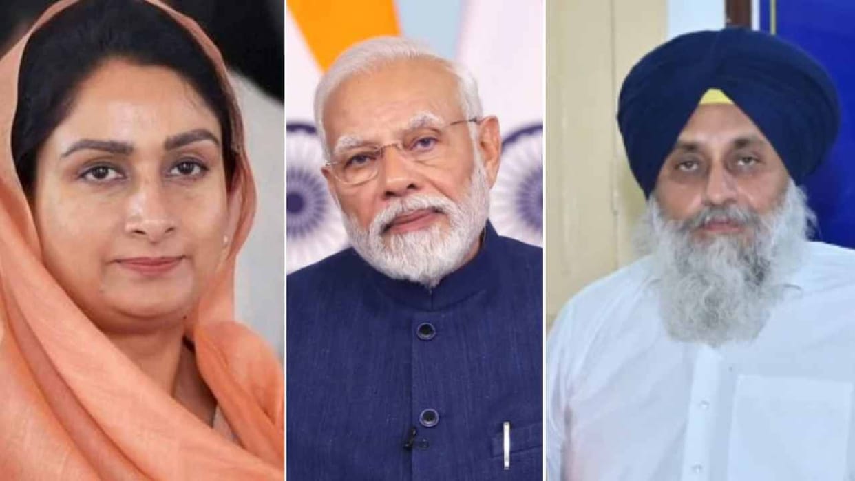 BJP will contest Lok Sabha elections alone in Punjab