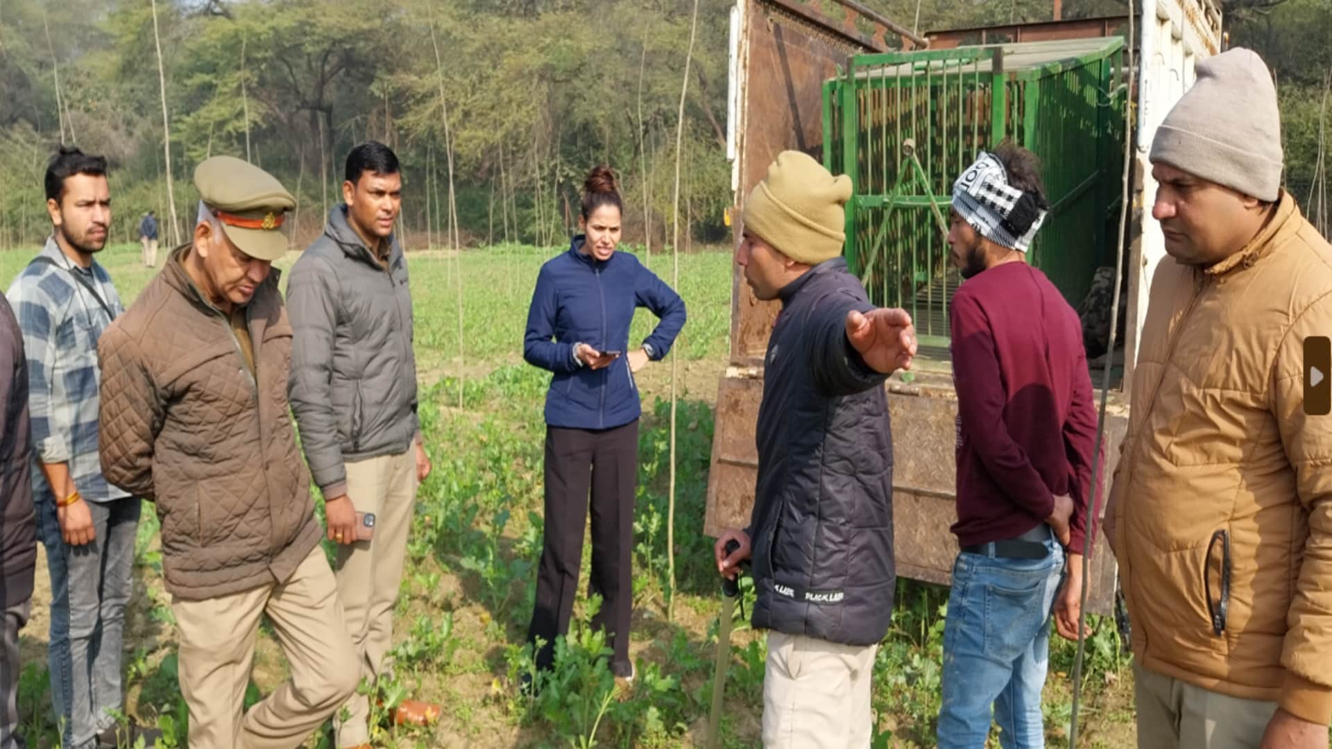 Leopard trapped in net of poachers in Baghpat, see pictures