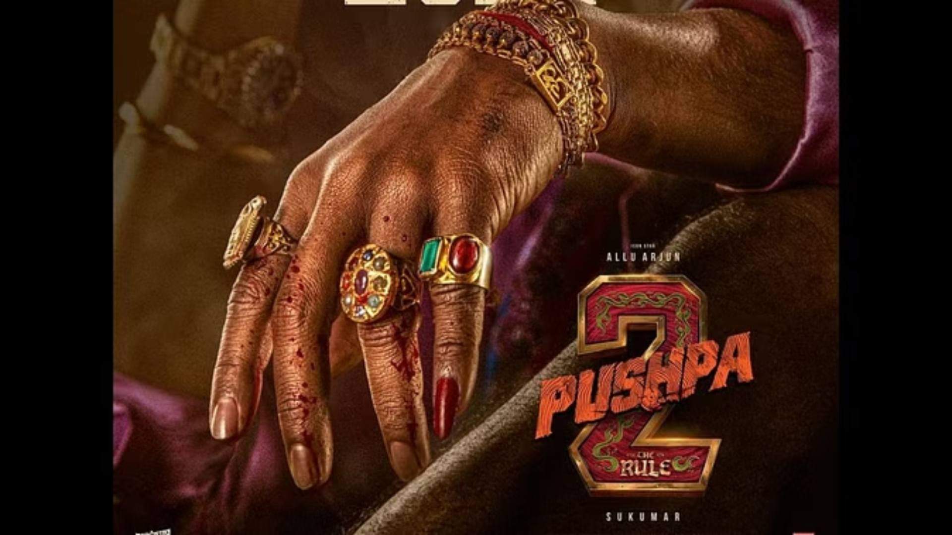 allu arjun pushpa 2 shooting break as Jagadeesh Prathap Bandari arrest double units start work as he got bail