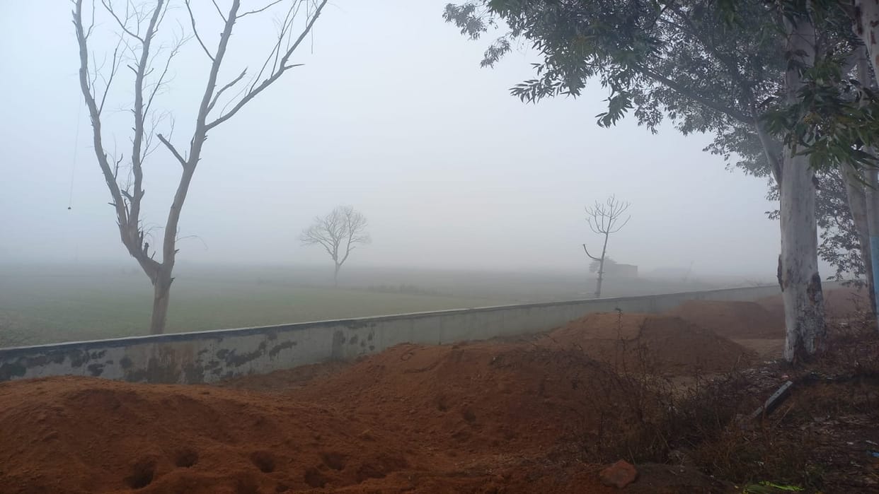 Jhajjar Weather, Fog prevails in morning, Drivers face trouble, possibility of rain these days