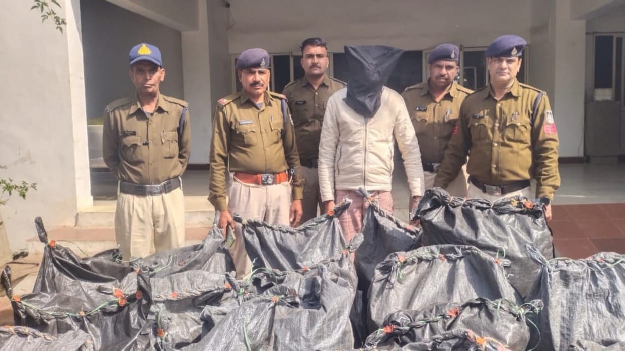 Mandsaur News Police seized more than three quintals of doda powder from pickup