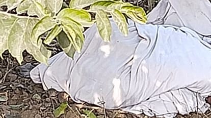 Bareilly News: युवती की हत्या के बाद चादर में बांधकर हाईवे किनारे फेंकी गई लाश, हाथ-पैर भी बंधे मिले girl murdered and body thrown in CBganj area of Bareilly