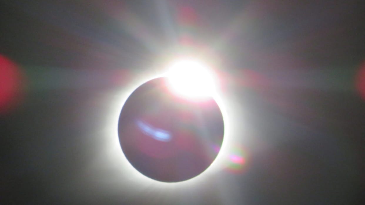 Solar Eclipse 2024 surprising effects impacts of total solar eclipse on animals surya grahan 2024