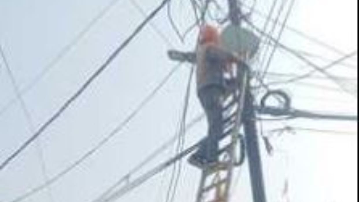 Chinese manjha cuts electricity of many houses in Shahjahanpur