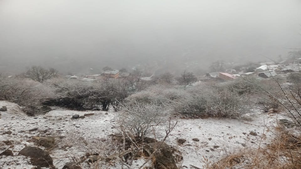 Uttarakhand Weather: Snowfall in Harshil Valley