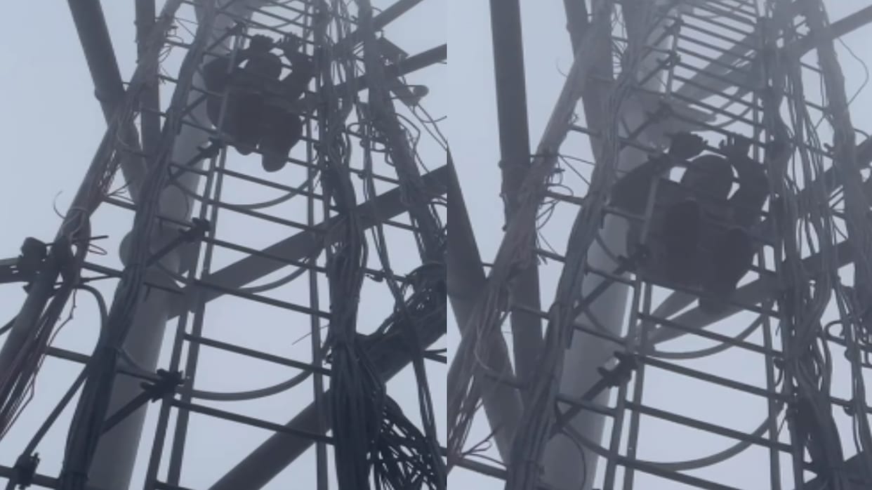 Baghpat: The young man who climbed the tower all night to escape from the police, came down after six hours