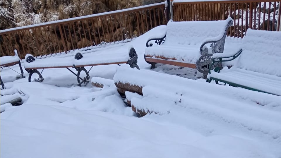 Uttarakhand Weather Today Snowfall in chardham and harsil chakrata and Many Hill Station Photos