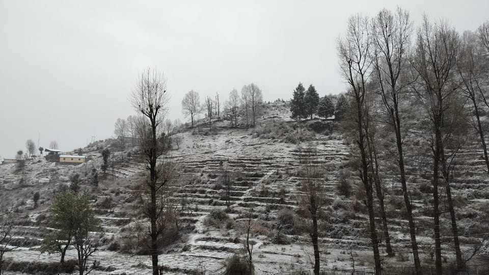 Nainital Snowfall: First snowfall of the season in Nainital