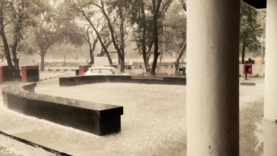 Rain and Hail fell in Chandigarh-Mohali weather update news