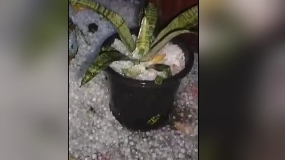 Haryana Weather Rain in many districts update