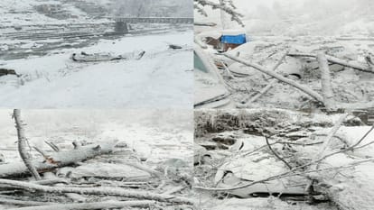 Trouble due to snowfall in Manali: Eight vehicles damaged due to falling of trees, electricity remained disrup