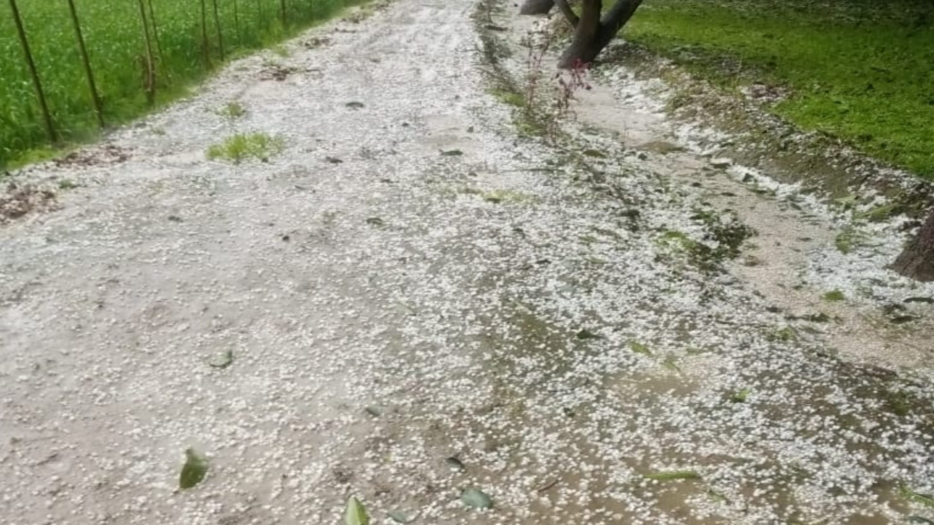 Rain with hailstorm and mountain like view seen in Saharanpur, see pictures