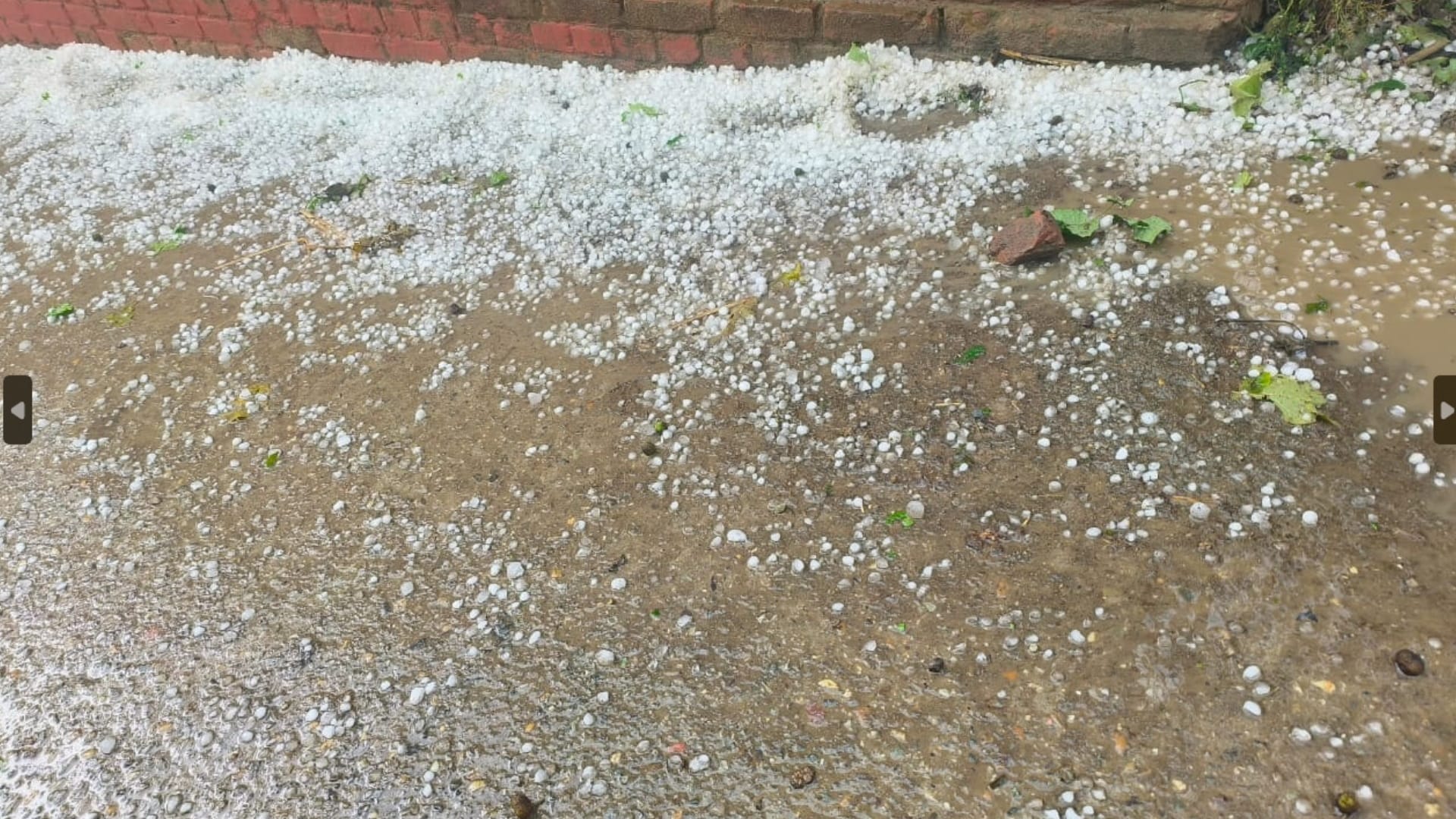 Rain with hailstorm and mountain like view seen in Saharanpur, see pictures