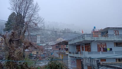 Nainital Snowfall: First snowfall of the season in Nainital