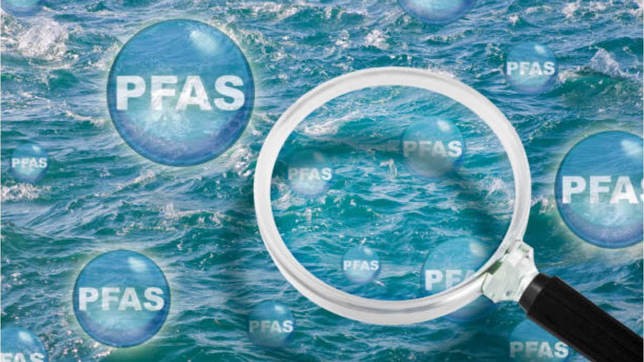 New Zealand to ban PFAS or ‘forever chemicals used in cosmetics know its health risk in hindi