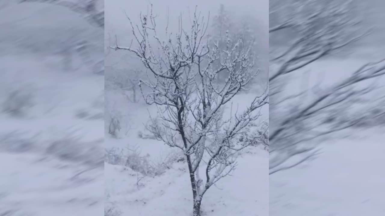 Uttarakhand Weather Today Rain and snowfall in mountains heavy snowfall Watch Photos