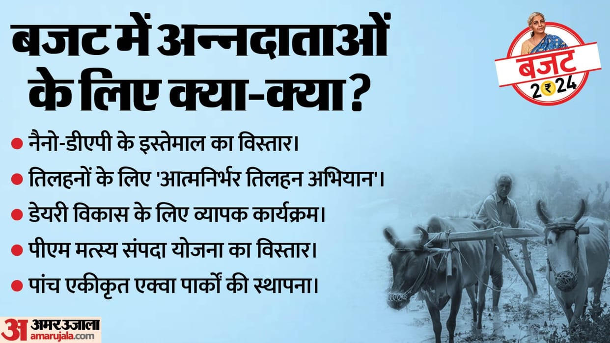 Budget 2024 for Agriculture Sector Know Budget 2023 Key Announcements of Agriculture sector