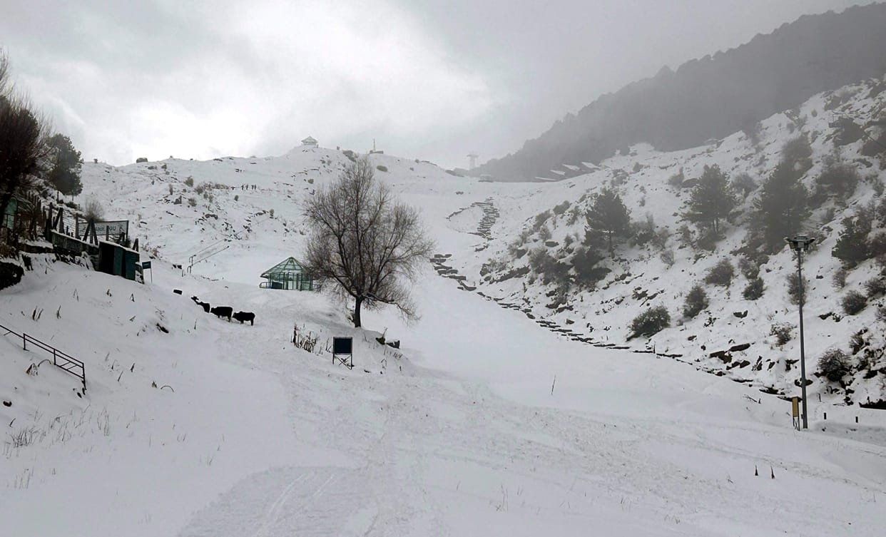 Uttarakhand Fresh snowfall today 10 pictures of  beautiful views Tourist places from Mussoorie to Nainital