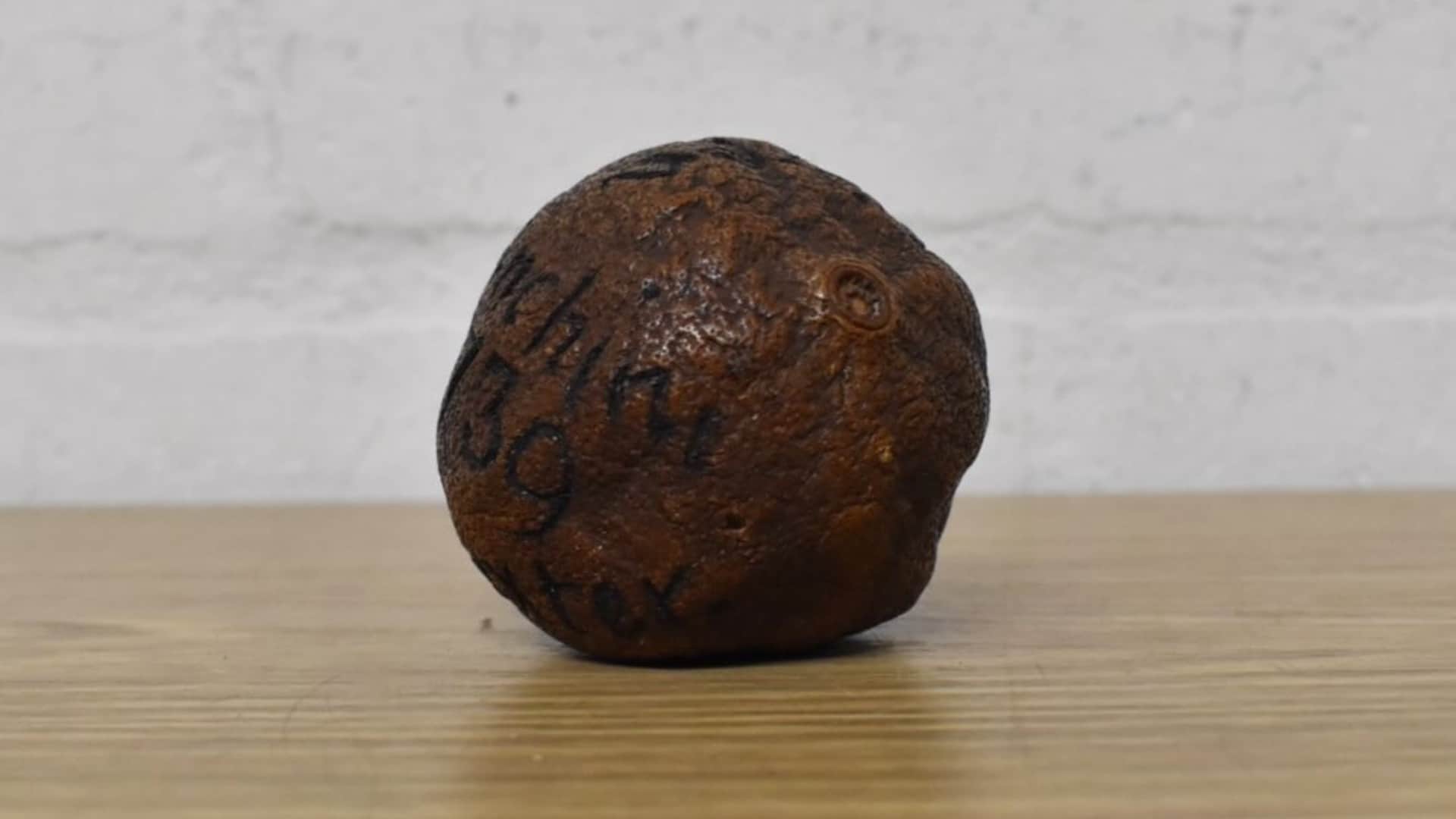 285 year old lemon found in dead mans cabinet sold for Rs 148 lakh in British auction