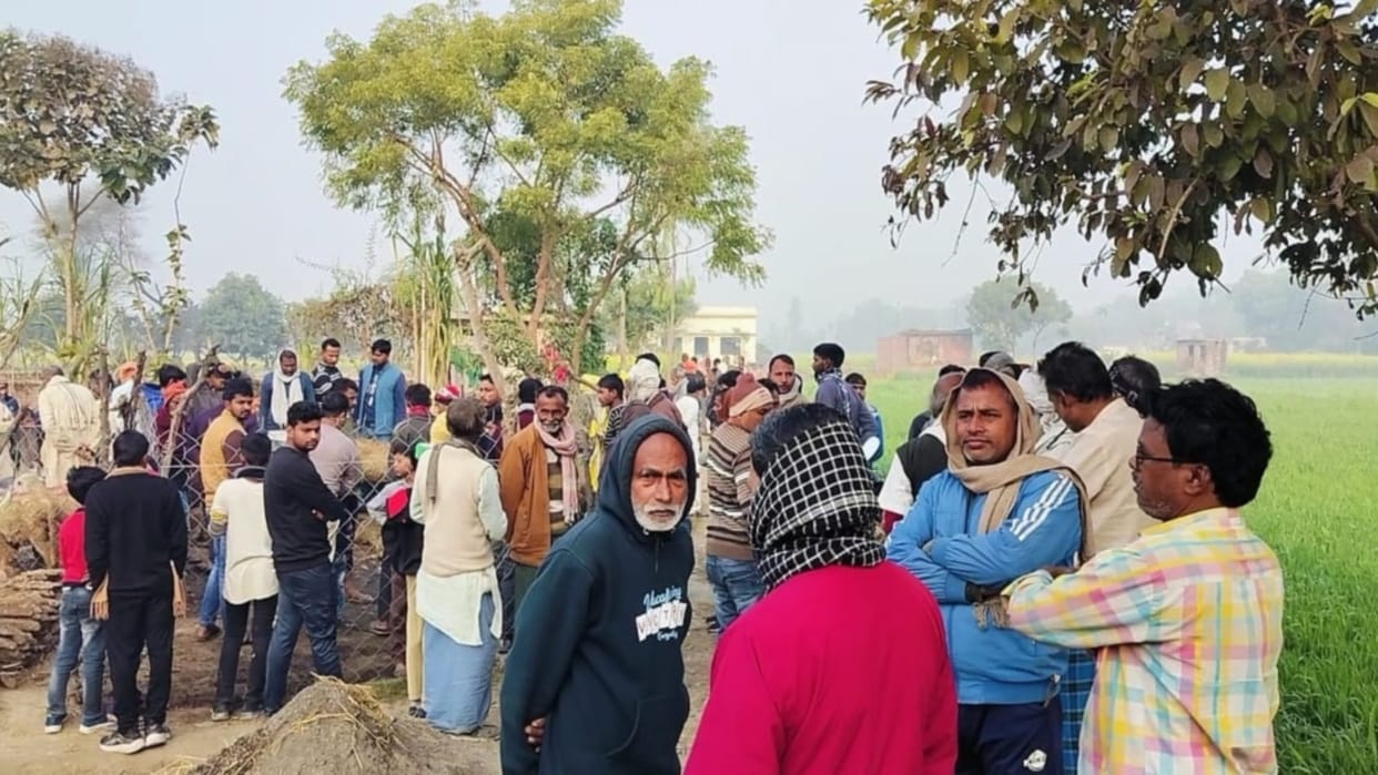 38 sheep were killed by wild animals, panic among cattle farmers.