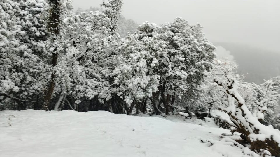 Uttarakhand News: sunshine after snowfall in bageshwar