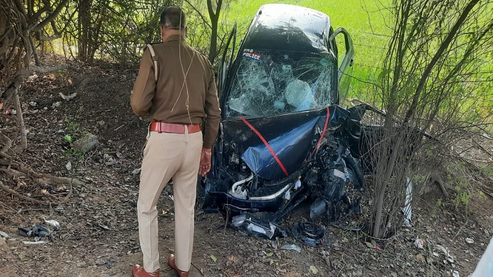 Tragic accident in Mathura Speeding car collides with a tree two youths die on spot