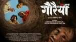 गौरैया लाइव