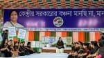 मुख्यमंत्री ममता बनर्जी।
