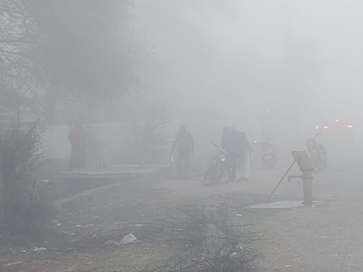 MP Weather Forecast Today: Cold Wave, Dense Fog in Damoh Dip In Temperature