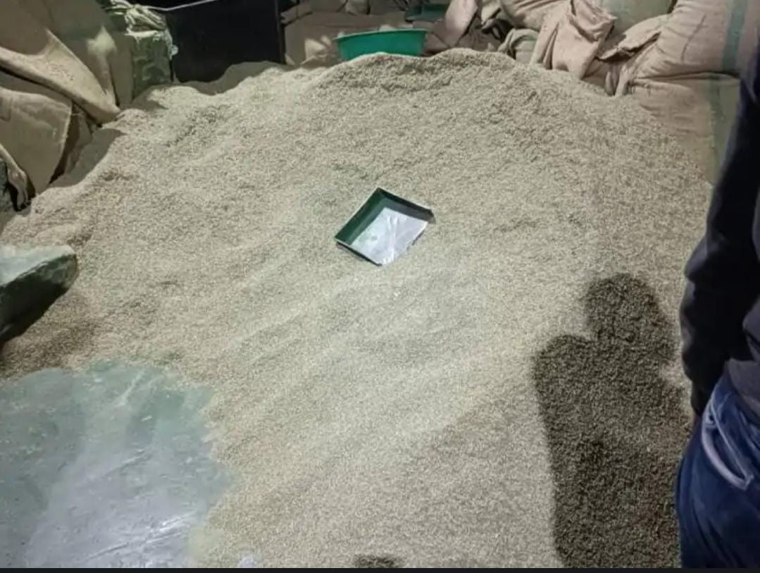 Indore News: Deadly chemicals were mixed to turn fennel green, fennel worth Rs 35 lakh seized