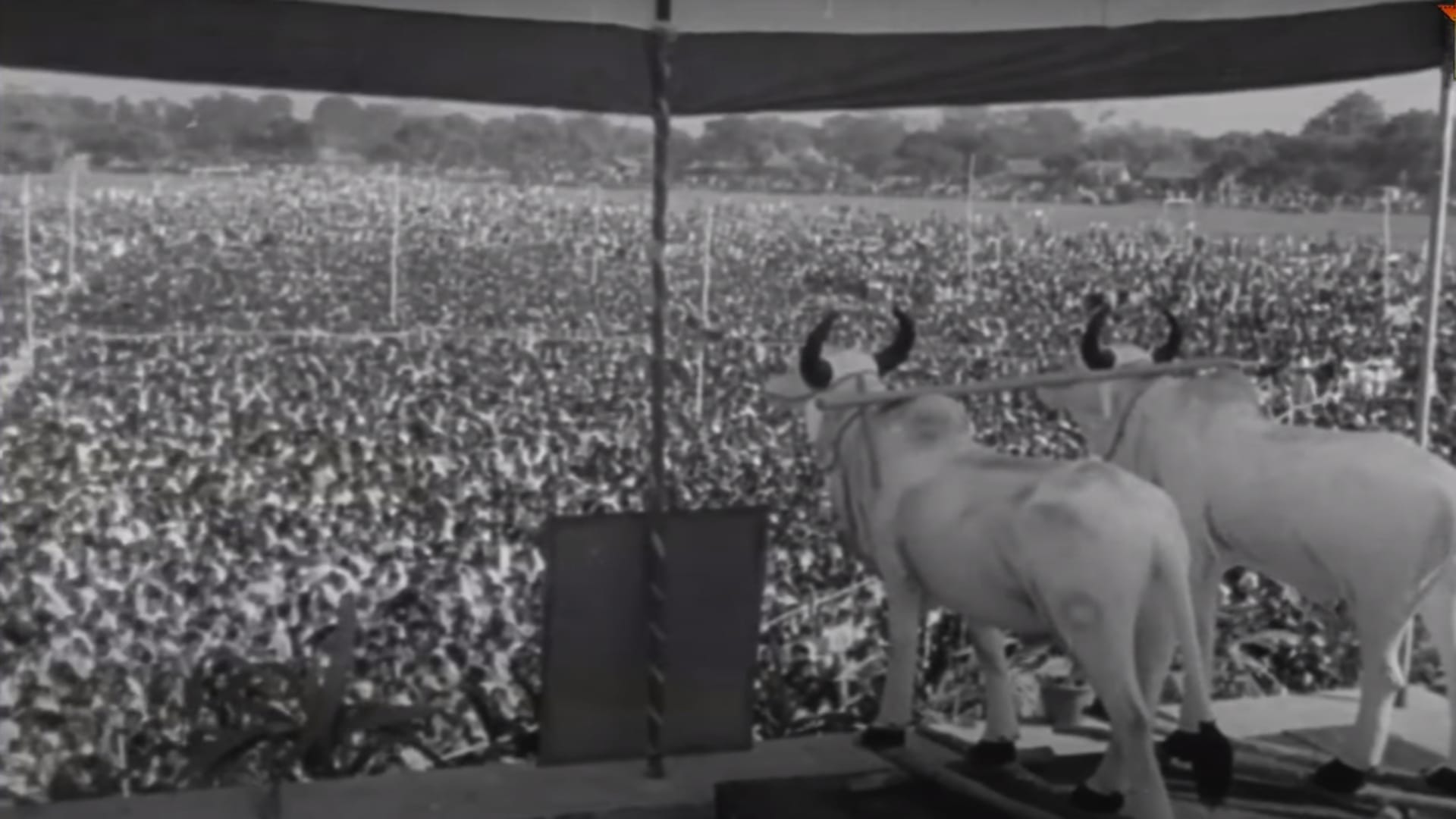 कांग्रेस की चुनावी रैली में बैलों की जोड़ूी