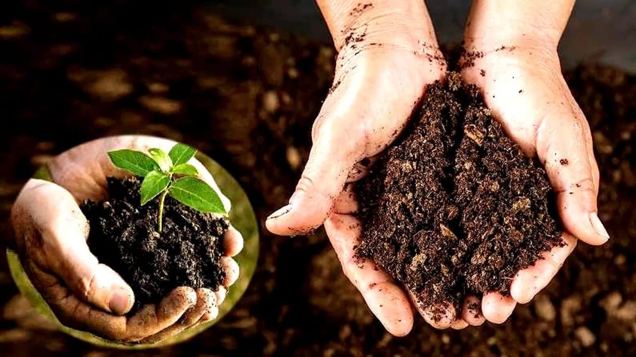 no match for natural farming in global warming, Padmashree awardee Dr. RC Sihag in Hisar told benefits