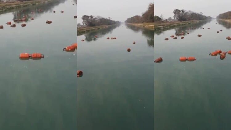 Punjab: A Vehicle Loaded With Cylinders Fell Into The Bhakra Canal – Amar Ujala Hindi News Live