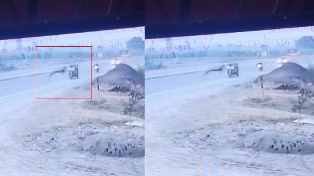 Shamli: E rickshaw overturns after collision with Nilgai, driver dead, daughter injured