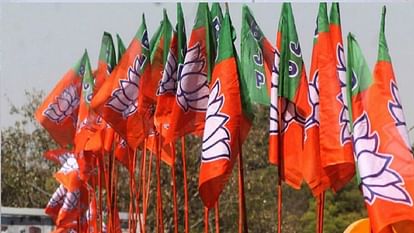LokSabha Elections 2024: Chhattisgarh BJP appointed observers for five Lok Sabha constituencies, see here li