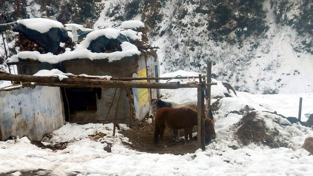 Uttarakhand Weather Update Today: IMD Rain and Snowfall Alert in Kedarnath, Badrinath, Gangotri and Yamunotri