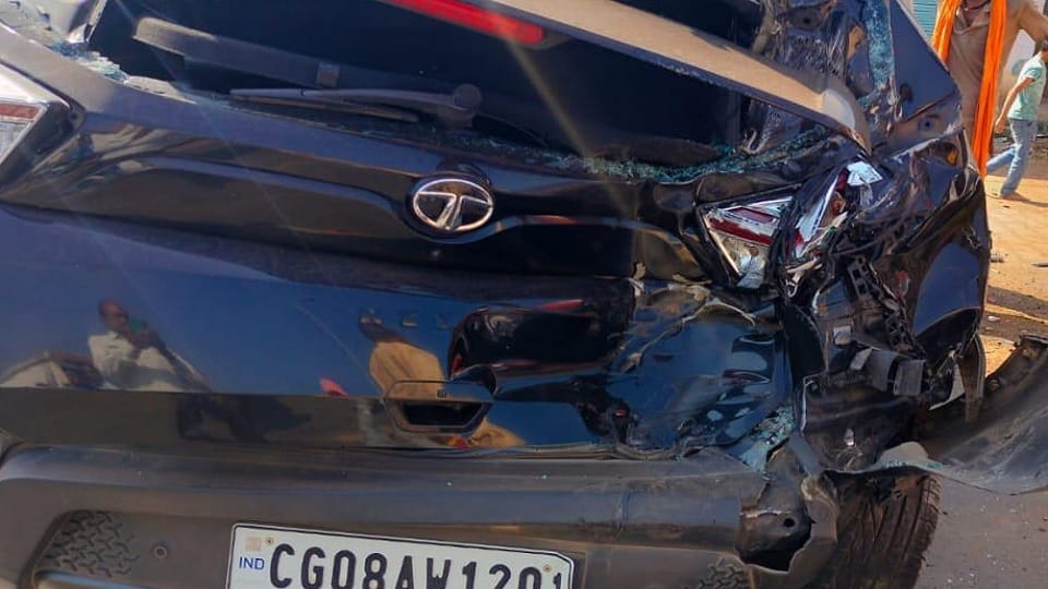 Speeding truck first hits car then crushes eight cows