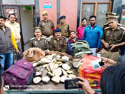 237 tortoises worth 1 crore rupees recovered from Varanasi Cantt station